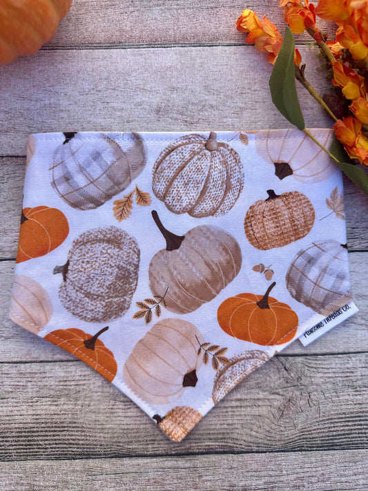 Boho Pumpkins