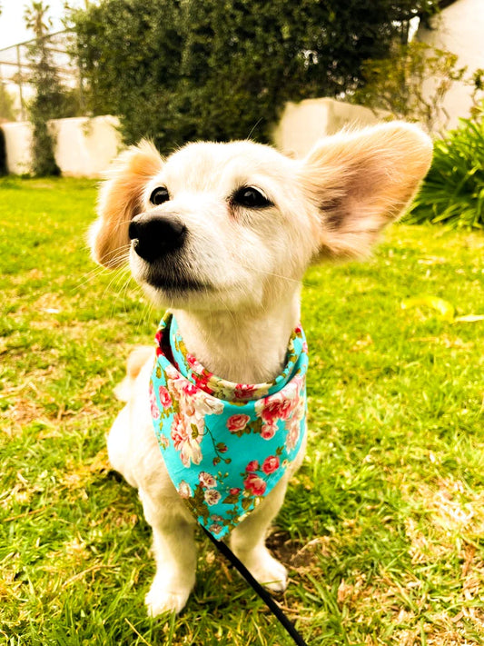Vintage Floral