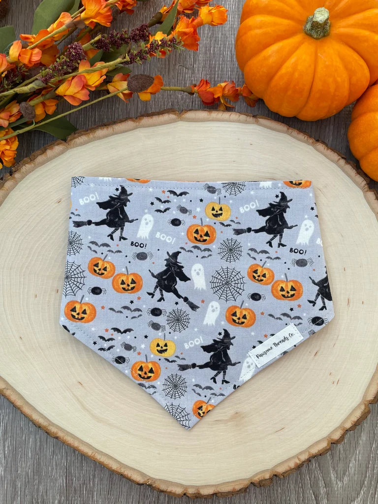 BOO Witch!