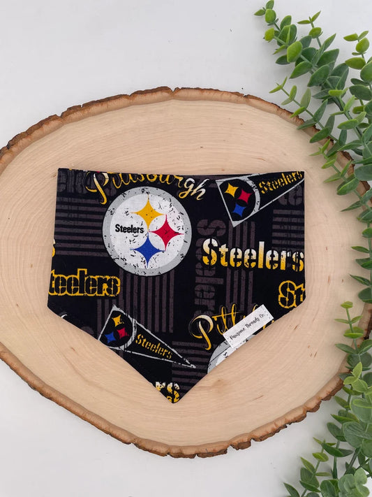 Pittsburgh Black & Gold