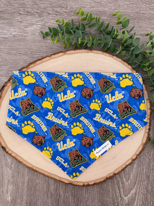 Mighty Bruins